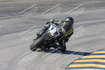 media/Feb-04-2024-SoCal Trackdays (Sun) [[91d6515b1d]]/4-Bowl Backside (11am)/